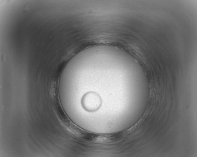 X0000073710171200608031050