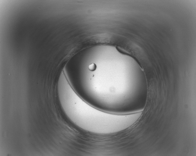 X0000073710172200608031050