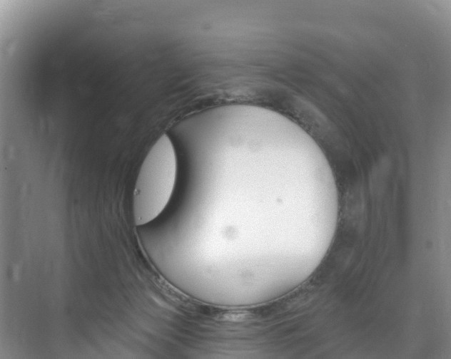 X0000073710173200608031050