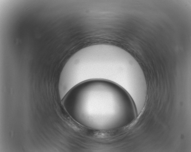 X0000073710174200608031050