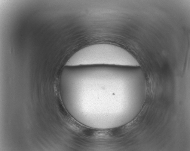 X0000073710175200608031050