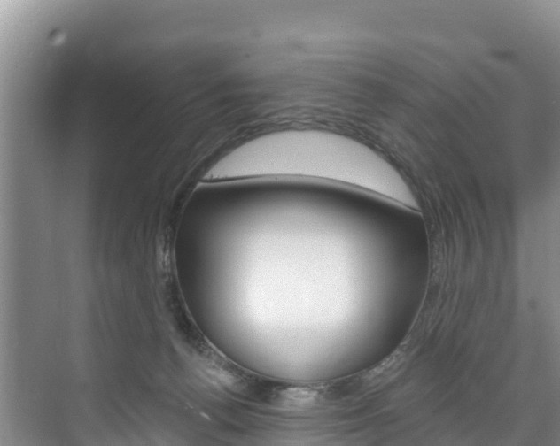 X0000073710176200608031050