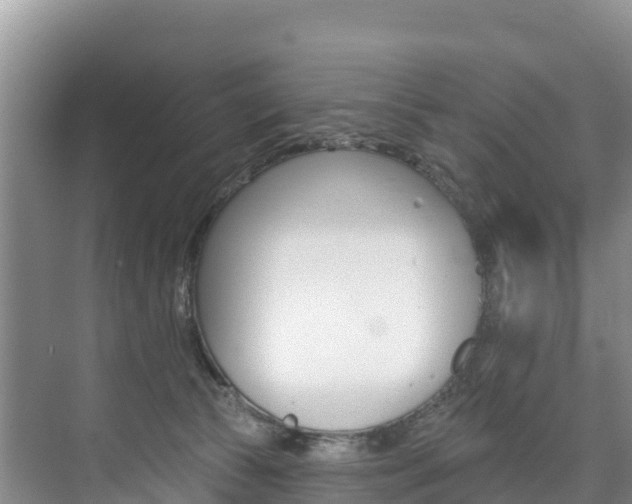 X0000073710177200608031050