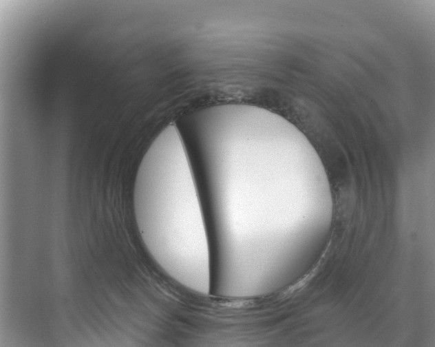 X0000073710178200608031050