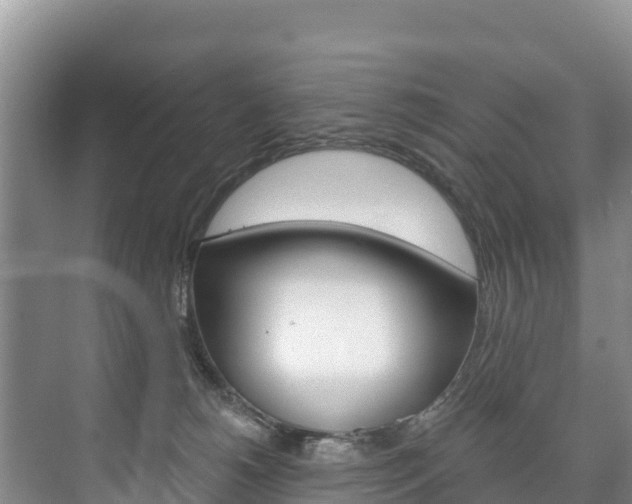 X0000073710180200608031050