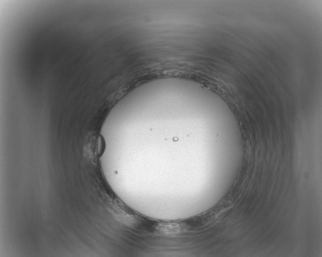 X0000073710181200608031050