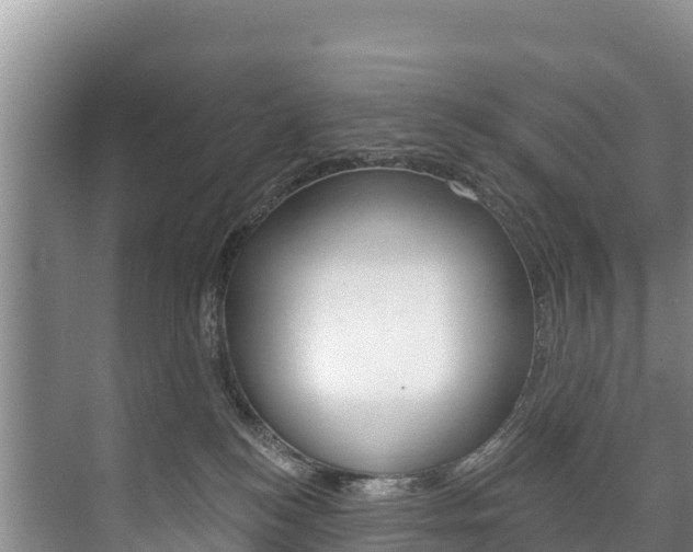 X0000073710184200608031050