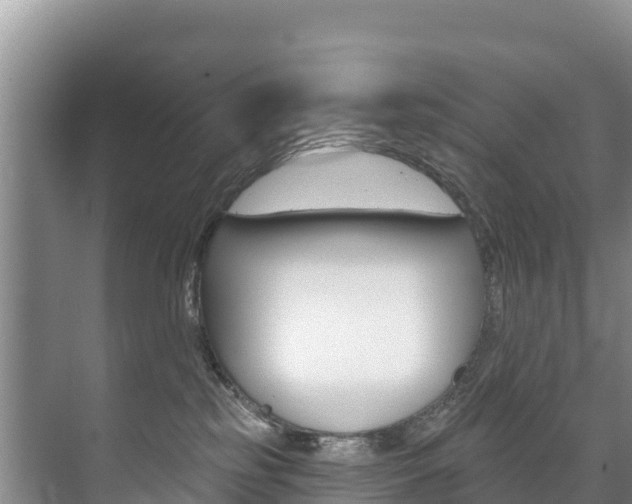 X0000073710185200608031050