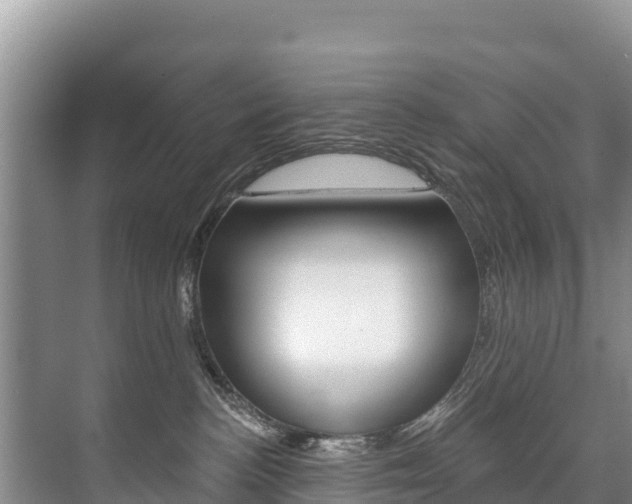 X0000073710188200608031050