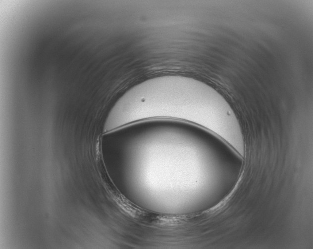 X0000073710190200608031050