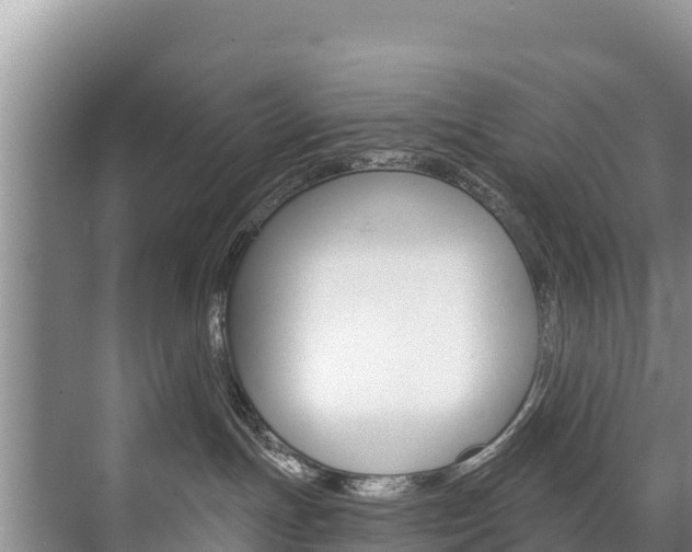 X0000073710191200608031050