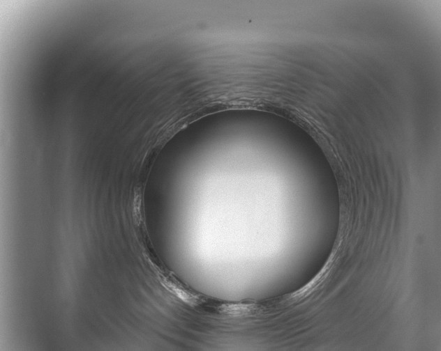 X0000073710192200608031050