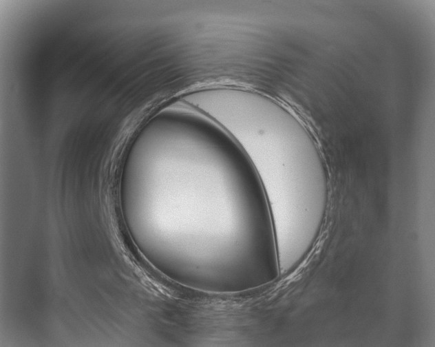 X0000073710193200608031049