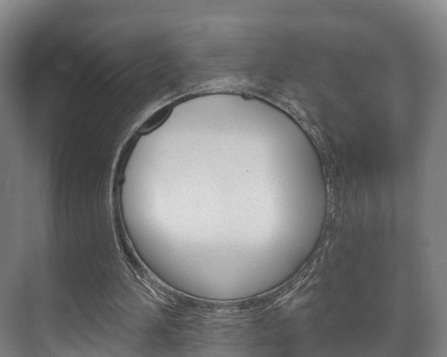 X0000073710196200608031049