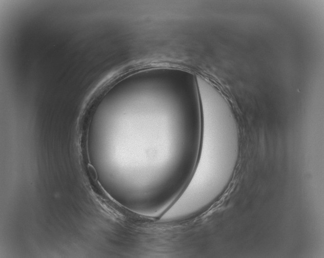 X0000073710197200608031049