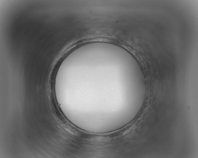 X0000073710198200608031049