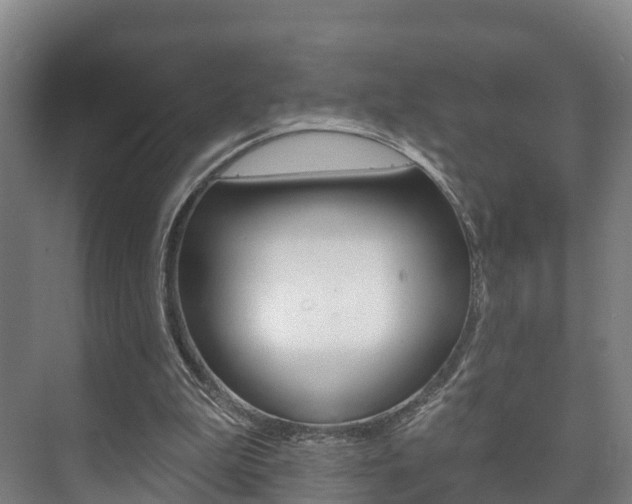 X0000073710199200608031049