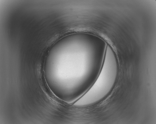 X0000073710201200608031049