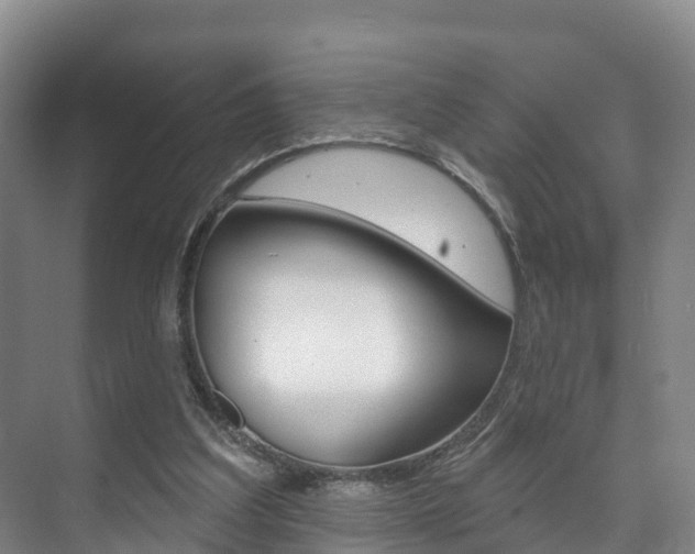 X0000073710203200608031049