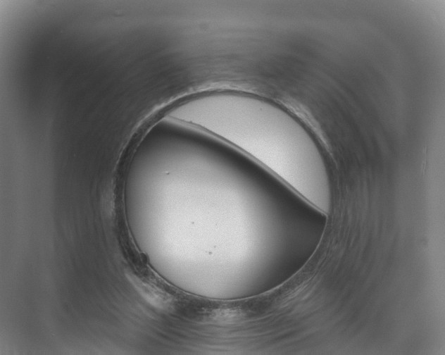 X0000073710204200608031049