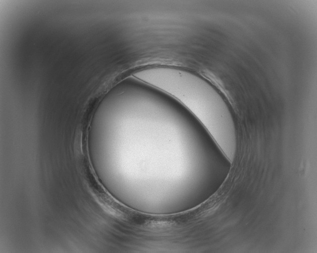 X0000073710205200608031049