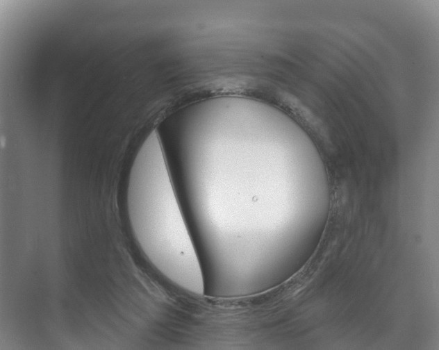 X0000073710209200608031049