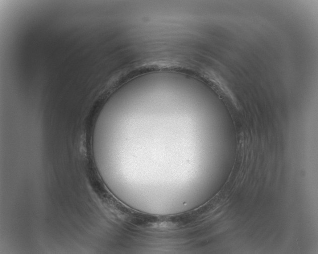 X0000073710212200608031049