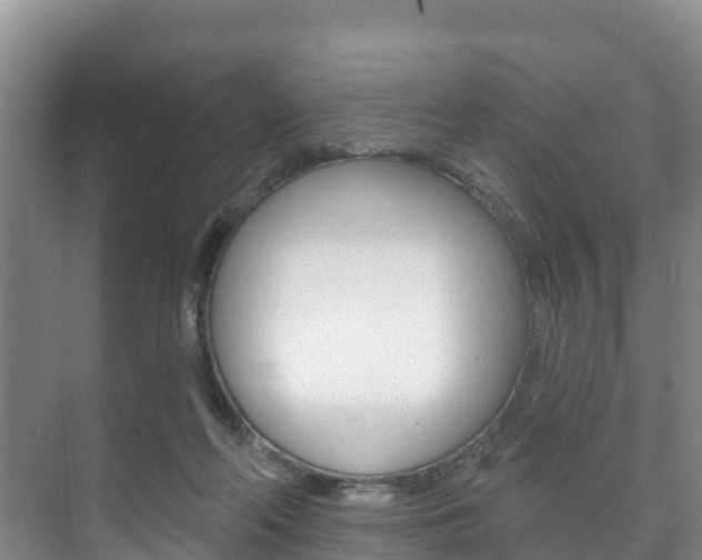 X0000073710214200608031049