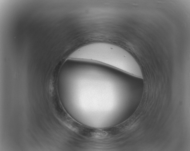 X0000073710215200608031049