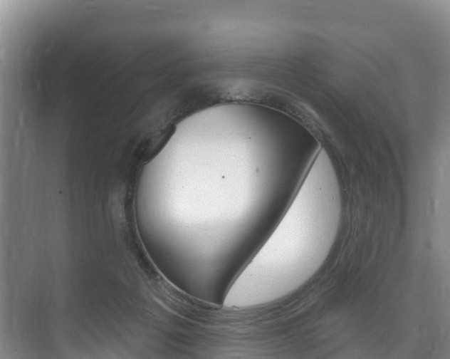 X0000073710217200608031049