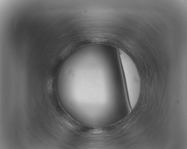 X0000073710219200608031049