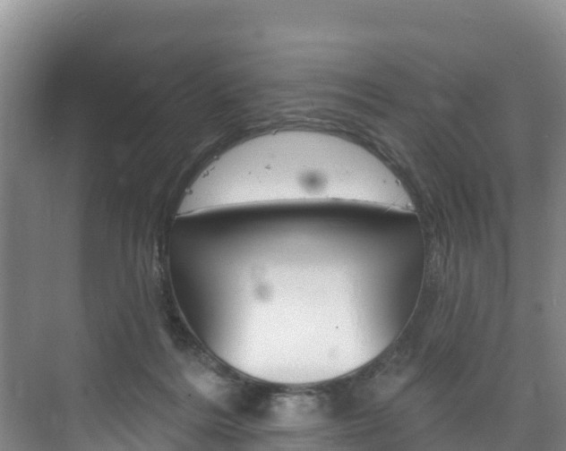 X0000073710220200608031049