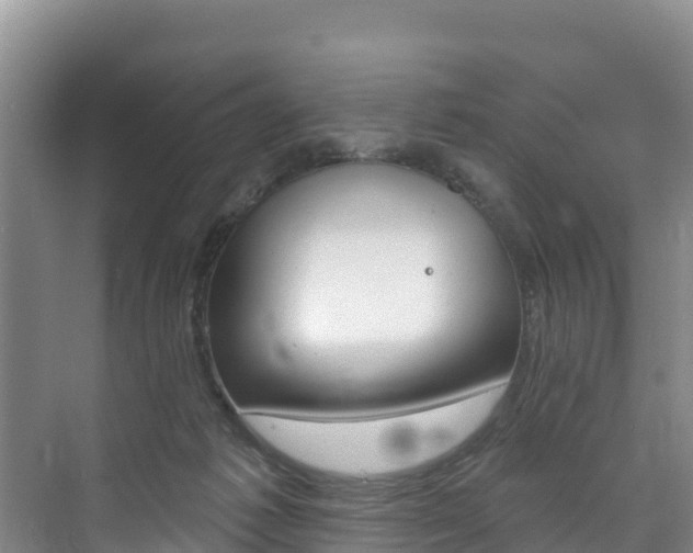 X0000073710221200608031049