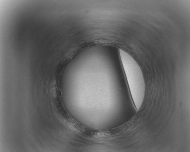 X0000073710223200608031049