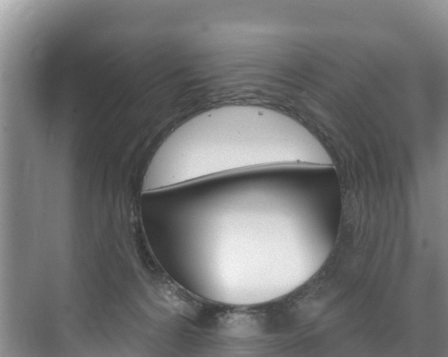 X0000073710224200608031049