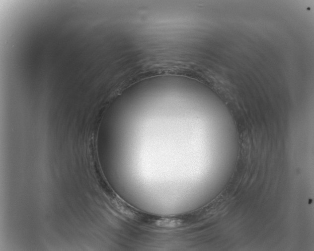 X0000073710225200608031049