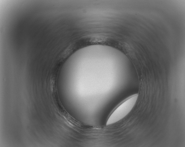 X0000073710227200608031049