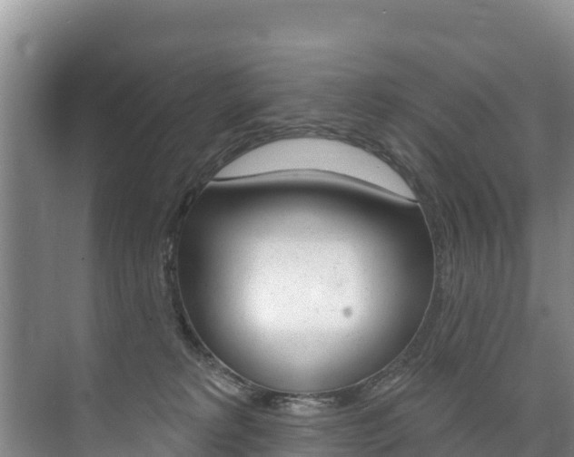 X0000073710229200608031048