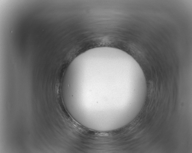 X0000073710230200608031048