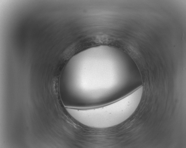 X0000073710233200608031048