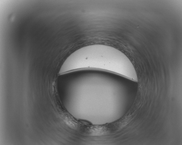 X0000073710235200608031048