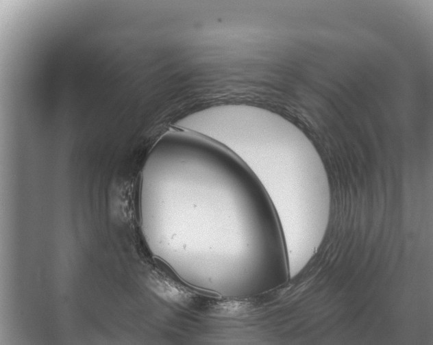 X0000073710237200608031048