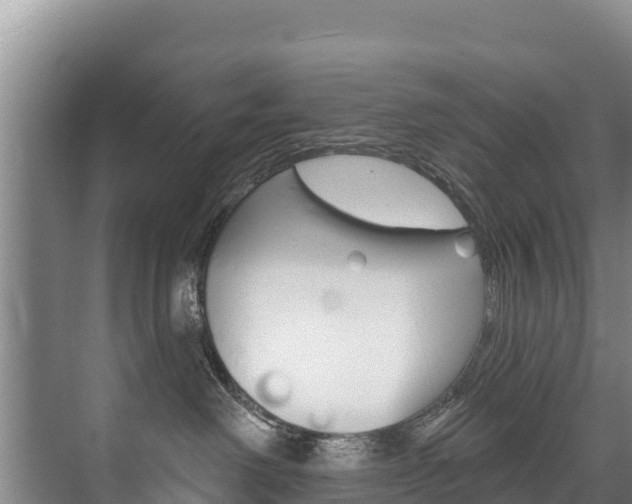 X0000073710238200608031048