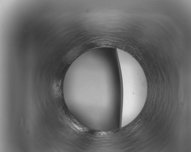 X0000073710239200608031048