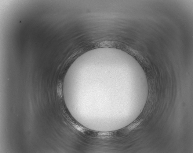 X0000073710240200608031048