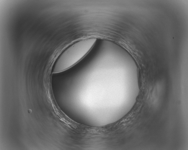 X0000073710241200608031047