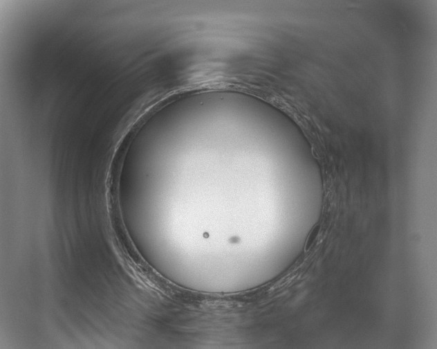 X0000073710242200608031048