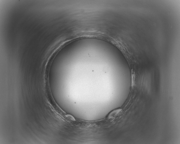 X0000073710243200608031048