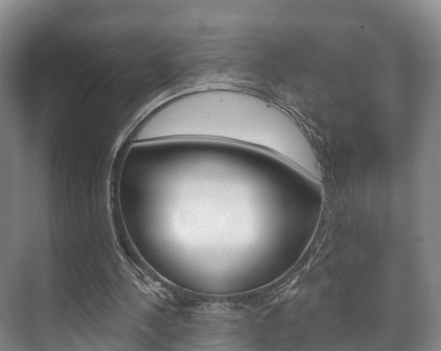 X0000073710244200608031048