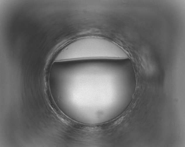 X0000073710245200608031048